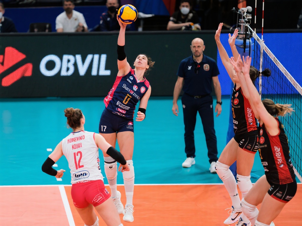 上最受欢迎 上最受欢迎